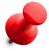 pin