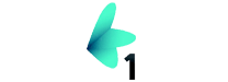 RTV 1